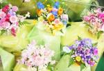efbc92e69c88efbc99e697a5-022